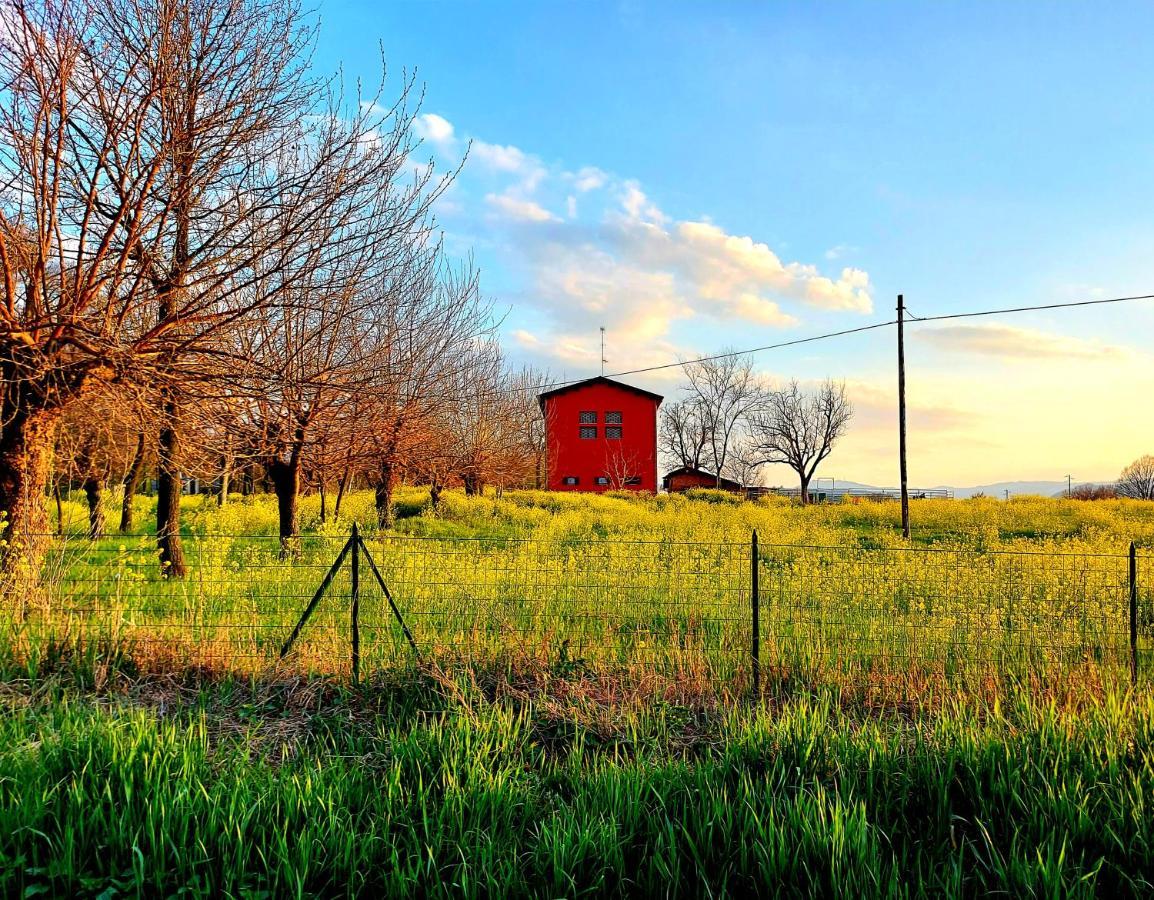 Pozza Agriturismo Azienda Agricola Ferrari M.Rita מראה חיצוני תמונה